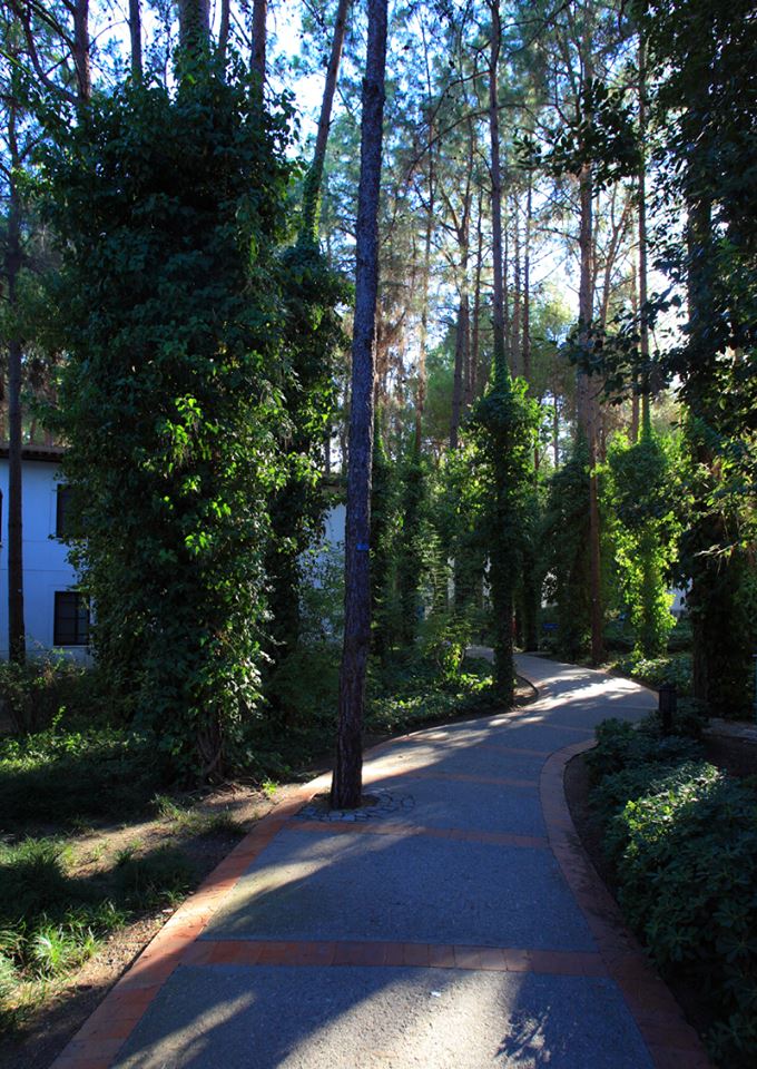 imagini hotel CLUB SALIMA